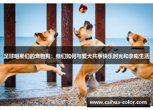 足球明星们的宠物狗：他们如何与爱犬共享快乐时光和亲密生活