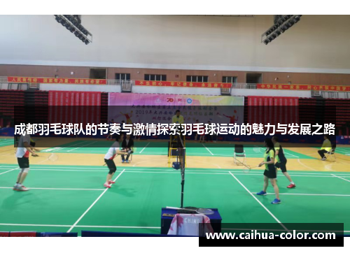 成都羽毛球队的节奏与激情探索羽毛球运动的魅力与发展之路