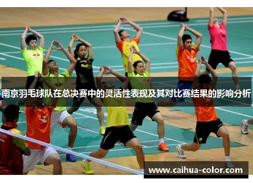 南京羽毛球队在总决赛中的灵活性表现及其对比赛结果的影响分析