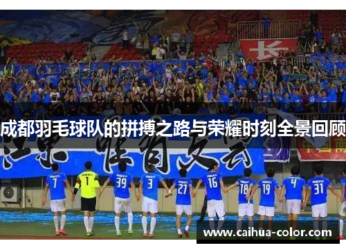 成都羽毛球队的拼搏之路与荣耀时刻全景回顾